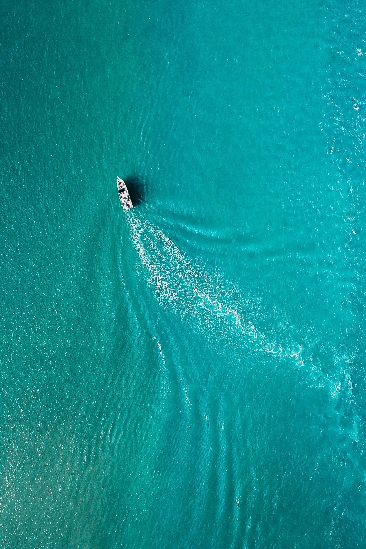 Activités nautique près de Propriano