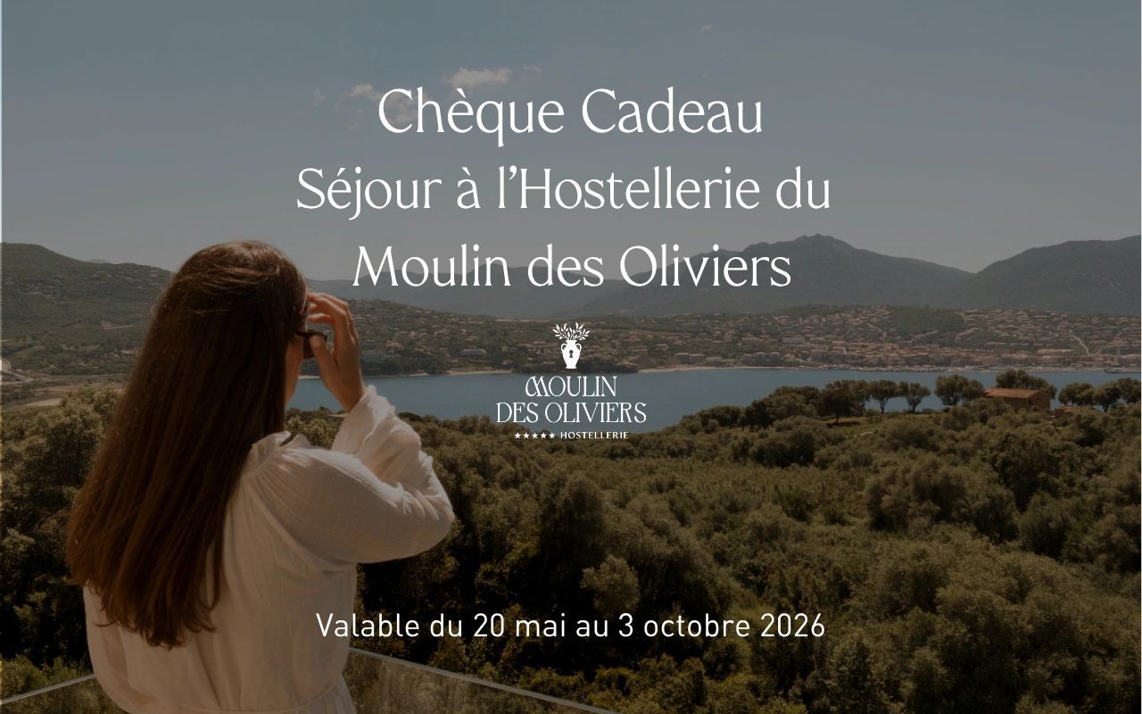 Femme photographiant un paysage méditerranéen avec lac et oliveraies, chèque cadeau Moulin des Oliviers