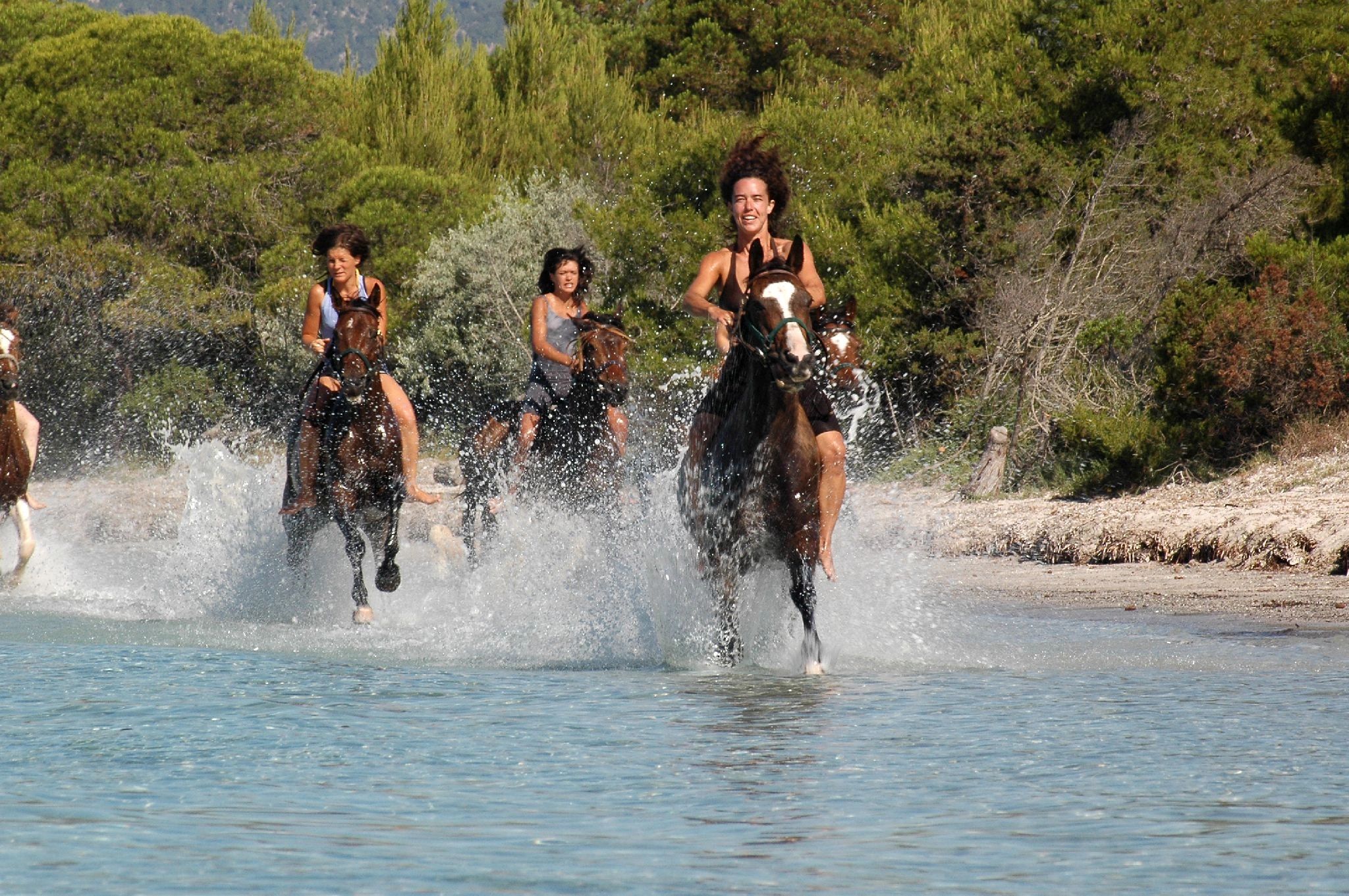 Balades à cheval à Propriano depuis l'hotel Marinca