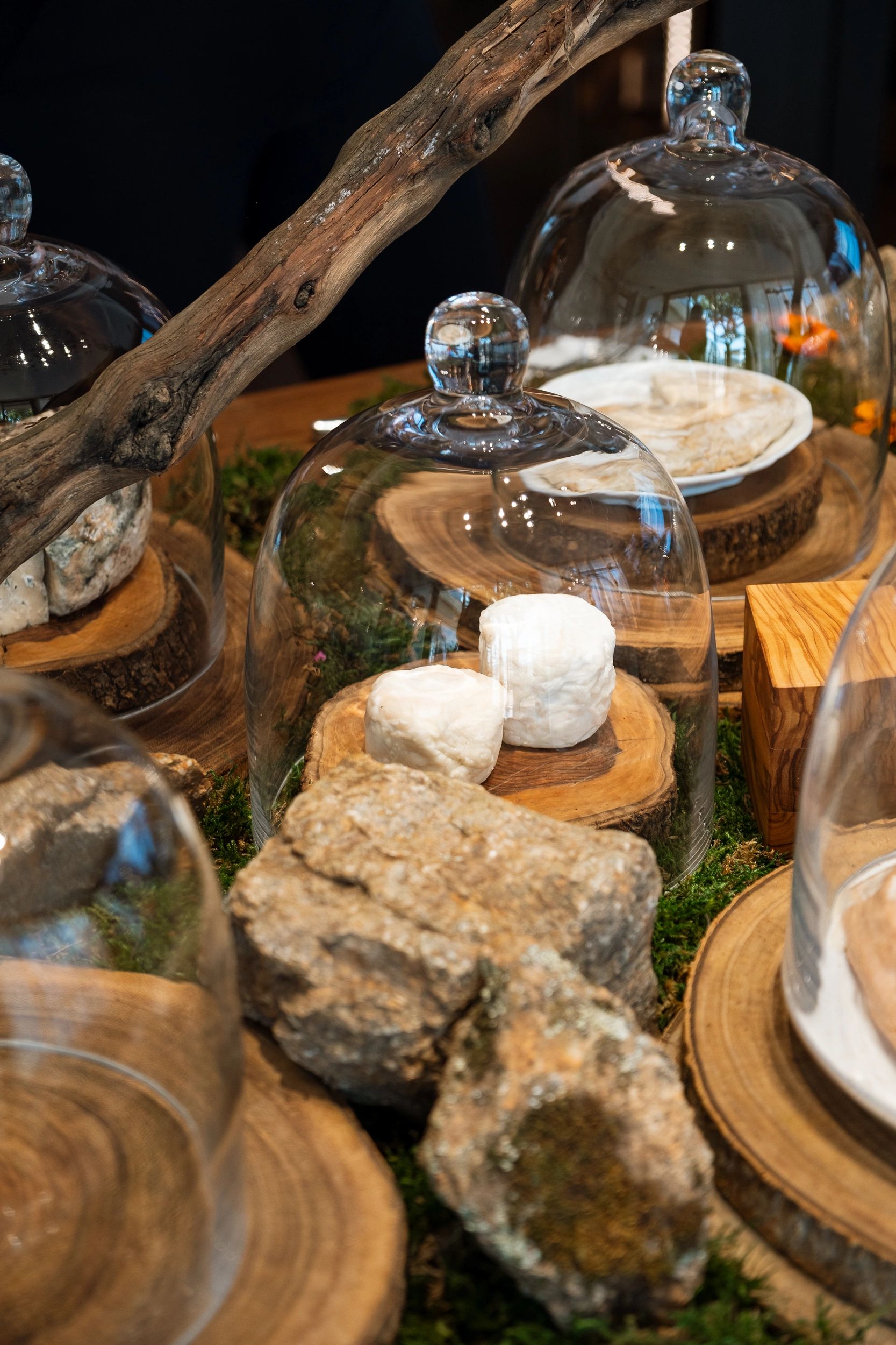 Présentation gastronomique de fromage blanc sous cloche en verre avec décoration naturelle de bois et mousse